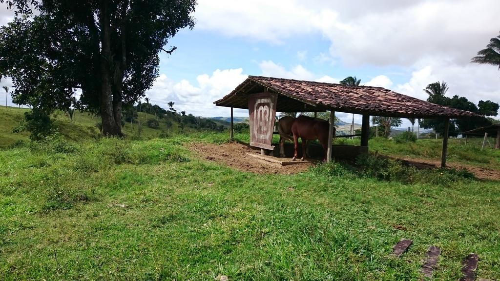 Hotel Fazenda Agua Branca Bonito  Exterior foto